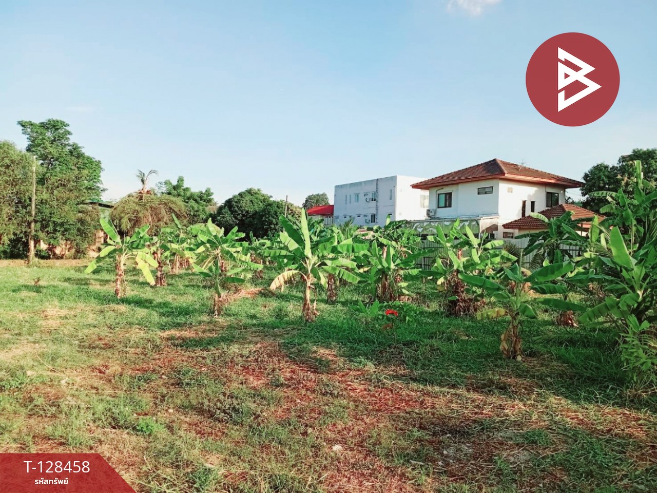 ขาย/เช่า ที่ดิน เนื้อที่ 1 ไร่ 3 งาน 6.1 ตร.วา พระประแดง สมุทรปราการ 4