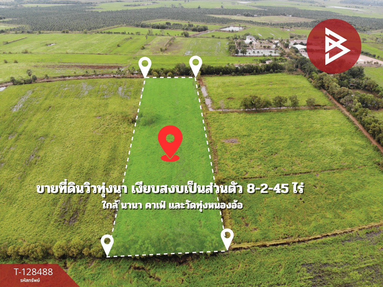 ขายที่ดิน เนื้อที่ 8 ไร่ 2 งาน 45 ตร.วา ประจันตคาม ปราจีนบุรี 3