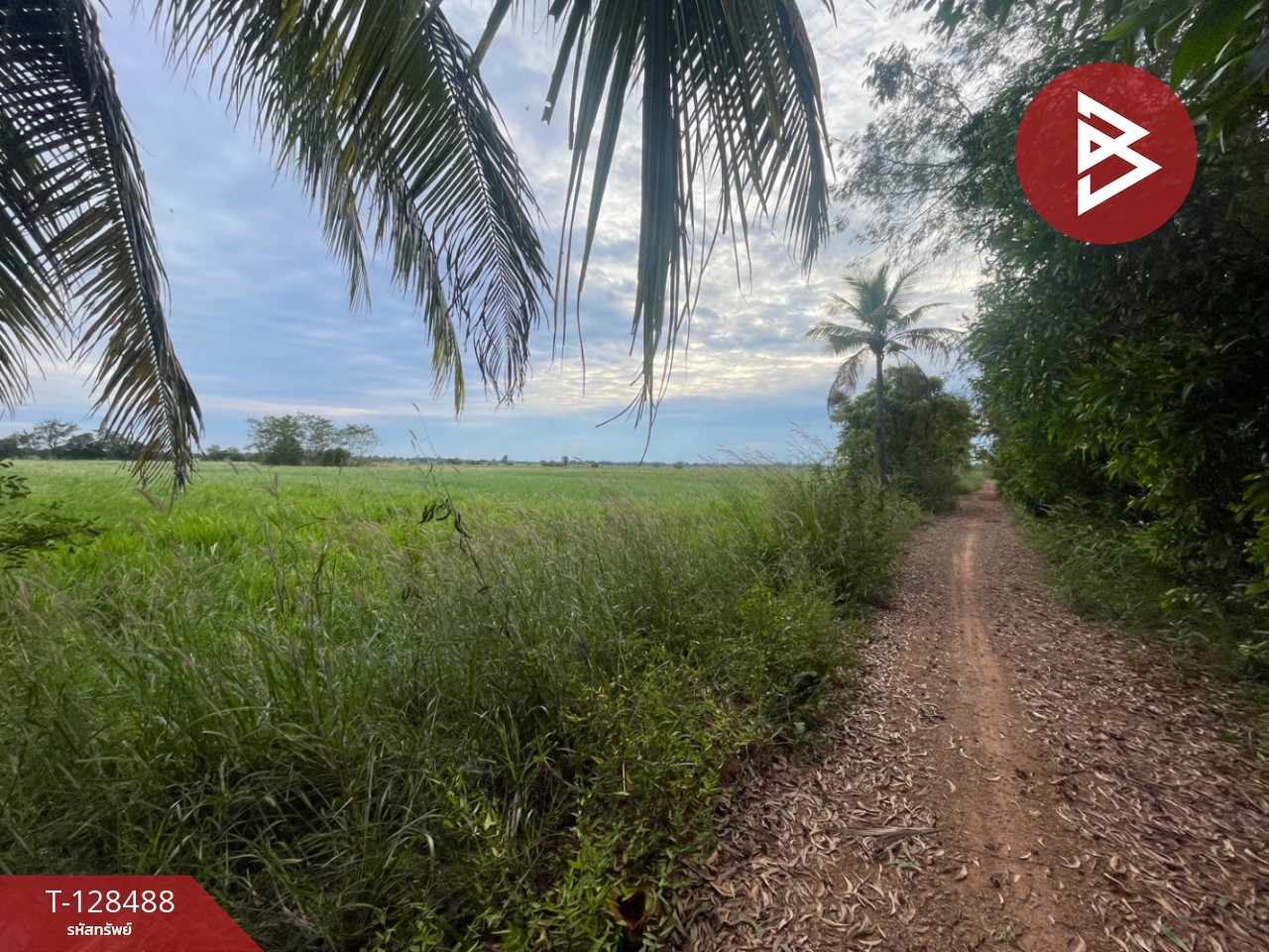 ขายที่ดิน เนื้อที่ 8 ไร่ 2 งาน 45 ตร.วา ประจันตคาม ปราจีนบุรี 11