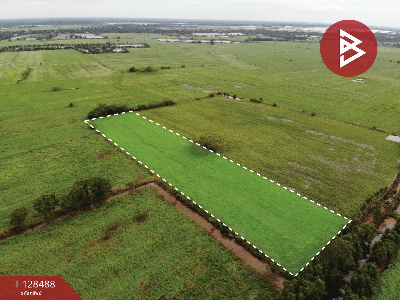 ขายที่ดิน เนื้อที่ 8 ไร่ 2 งาน 45 ตร.วา ประจันตคาม ปราจีนบุรี 8