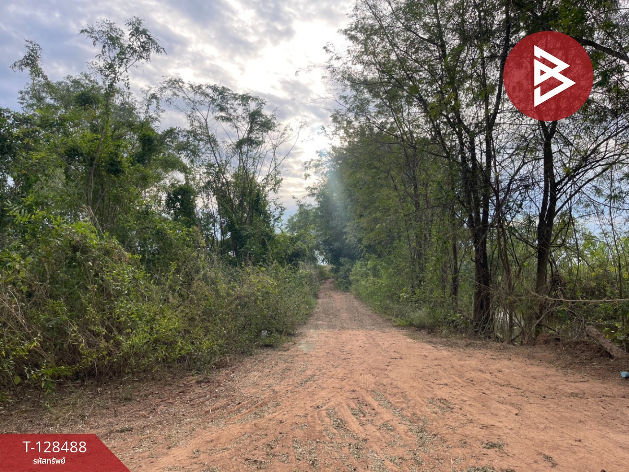 ขายที่ดิน เนื้อที่ 8 ไร่ 2 งาน 45 ตร.วา ประจันตคาม ปราจีนบุรี 12