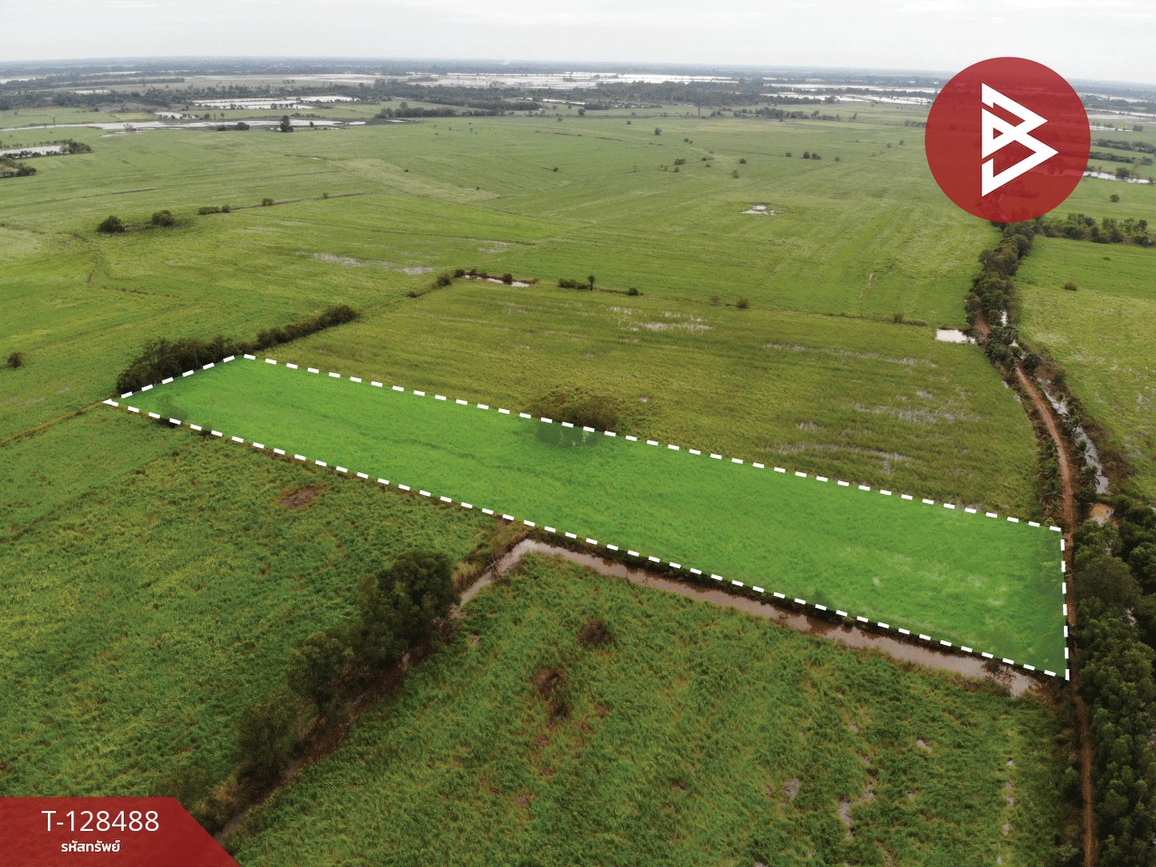 ขายที่ดิน เนื้อที่ 8 ไร่ 2 งาน 45 ตร.วา ประจันตคาม ปราจีนบุรี 7