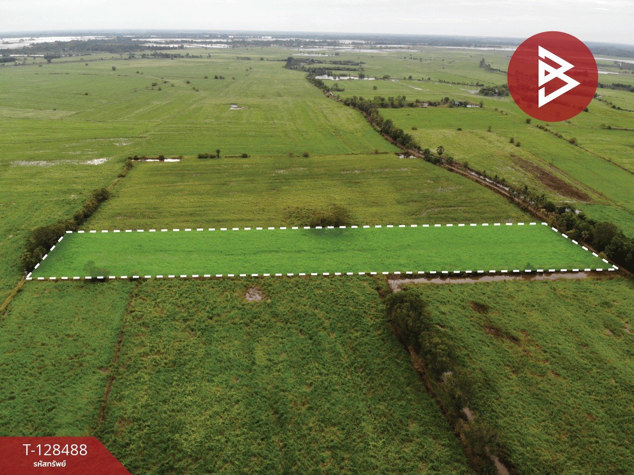 ขายที่ดิน เนื้อที่ 8 ไร่ 2 งาน 45 ตร.วา ประจันตคาม ปราจีนบุรี 6