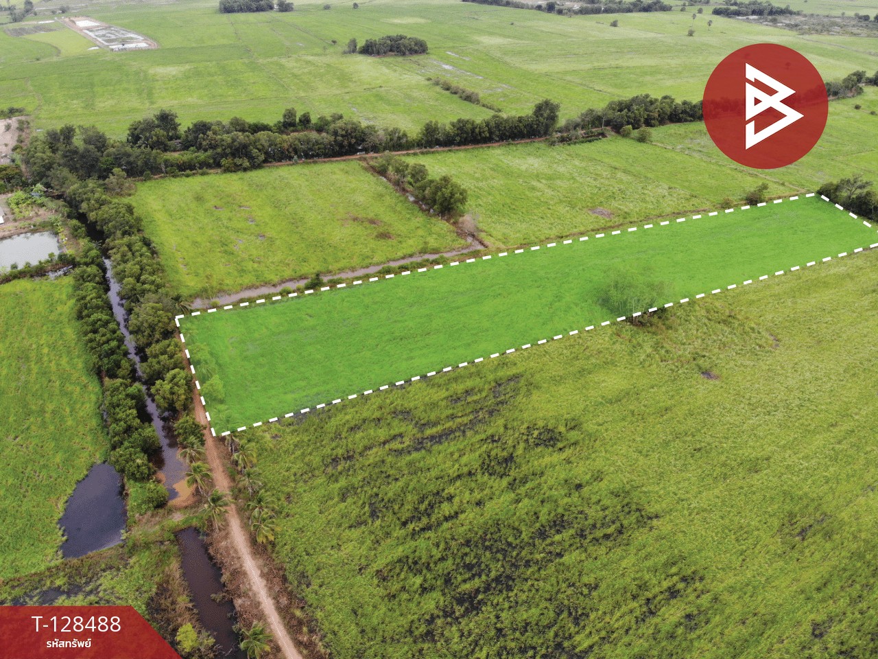 ขายที่ดิน เนื้อที่ 8 ไร่ 2 งาน 45 ตร.วา ประจันตคาม ปราจีนบุรี 10