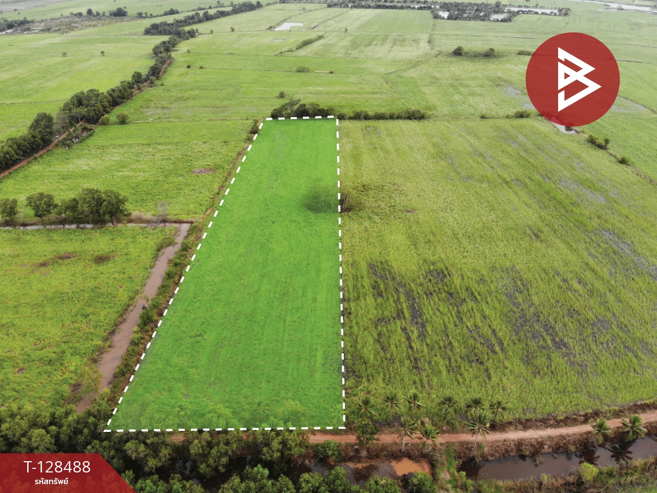 ขายที่ดิน เนื้อที่ 8 ไร่ 2 งาน 45 ตร.วา ประจันตคาม ปราจีนบุรี 9