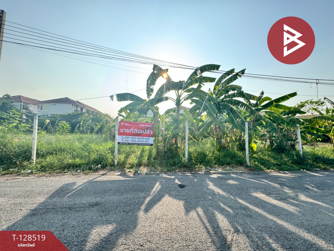 ขายที่ดิน เนื้อที่ 2 งาน 22 ตร.วา บางเขน กรุงเทพมหานคร 4