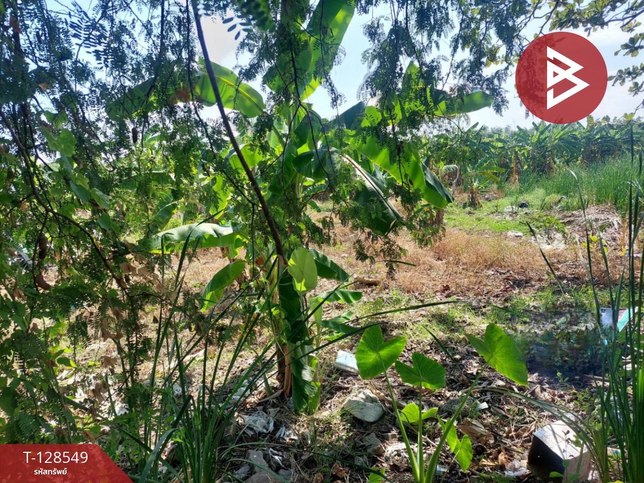 ขายที่ดิน เนื้อที่ 8 ไร่ 36 ตร.วา มีนบุรี กรุงเทพมหานคร 11