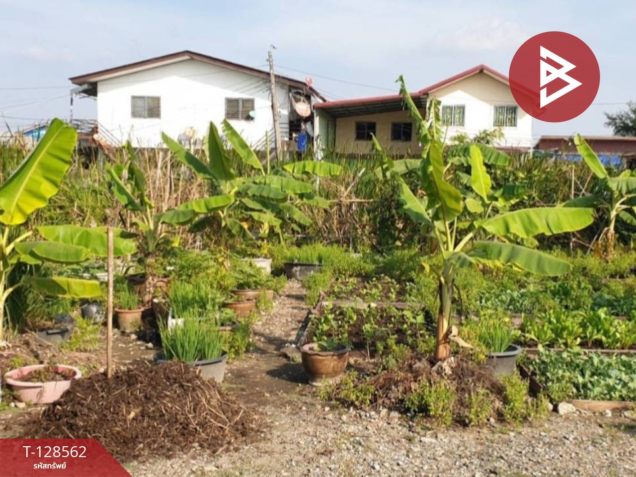 ขายที่ดิน เนื้อที่ 50 ตร.วา บางพลี สมุทรปราการ 1