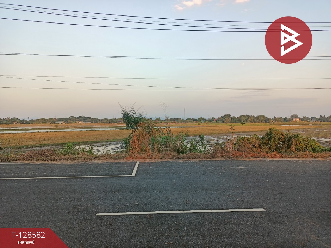 ขายที่ดิน เนื้อที่ 18 ไร่ ท่าวุ้ง ลพบุรี 13