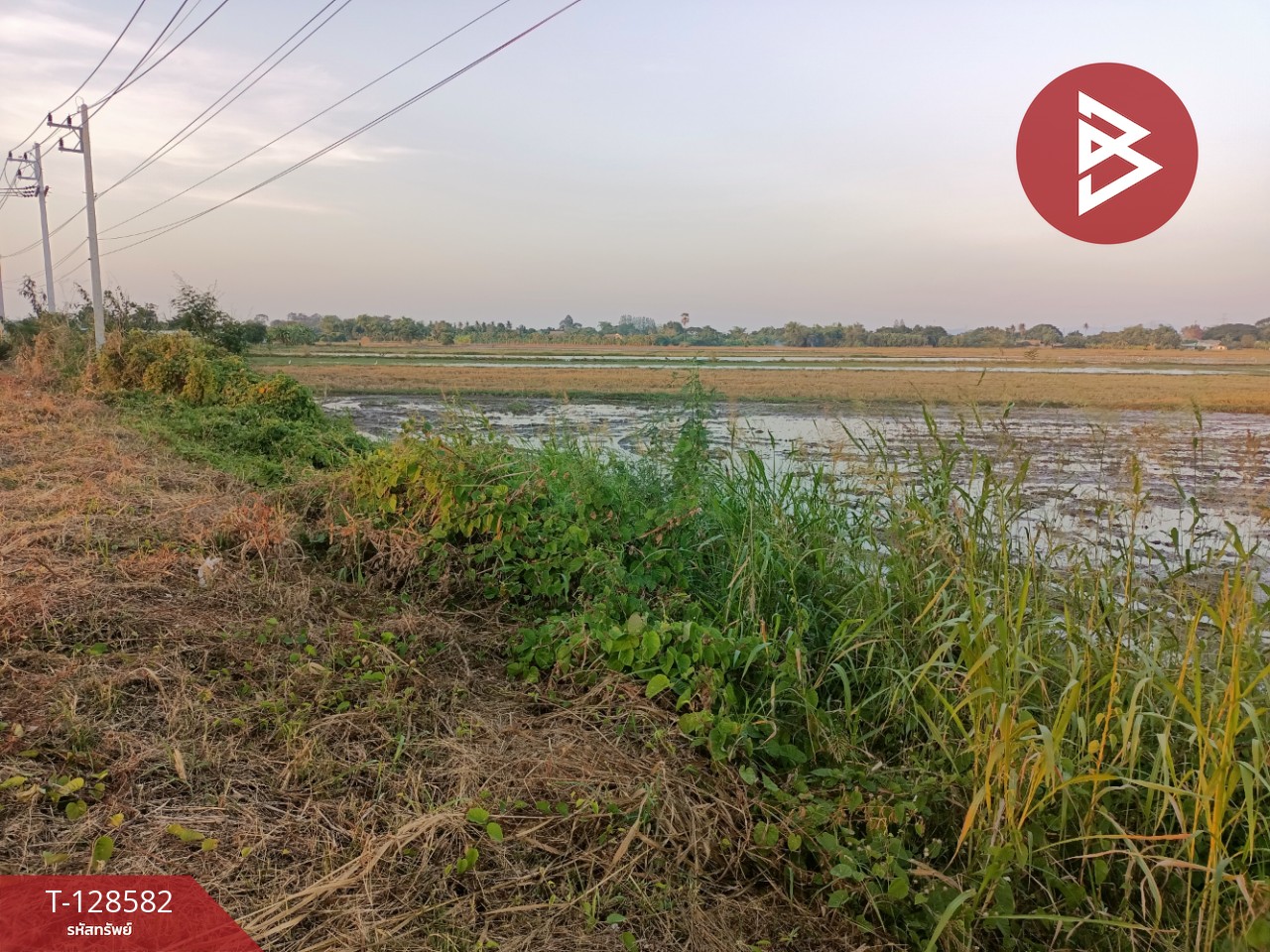 ขายที่ดิน เนื้อที่ 18 ไร่ ท่าวุ้ง ลพบุรี 14