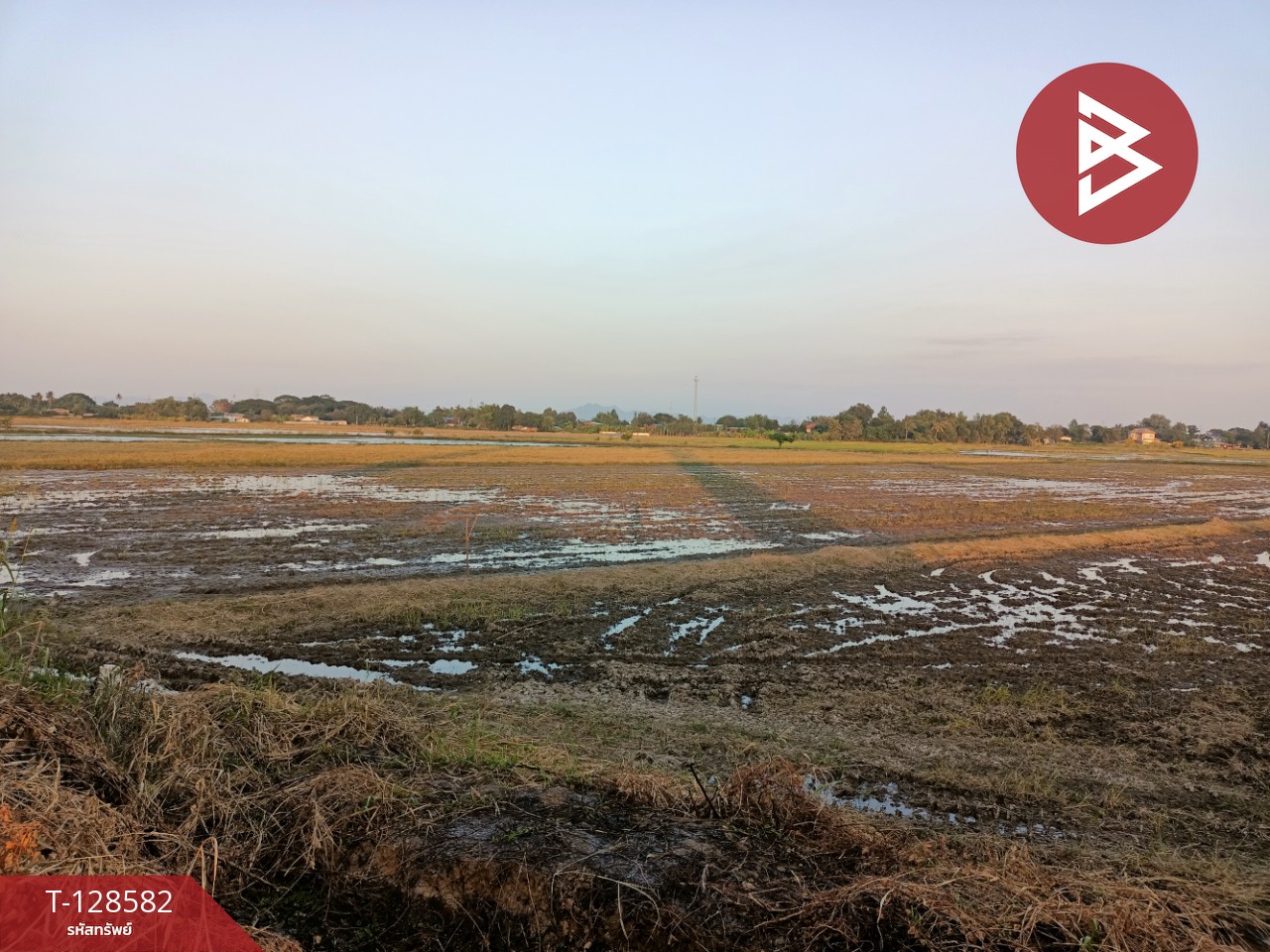 ขายที่ดิน เนื้อที่ 18 ไร่ ท่าวุ้ง ลพบุรี 5