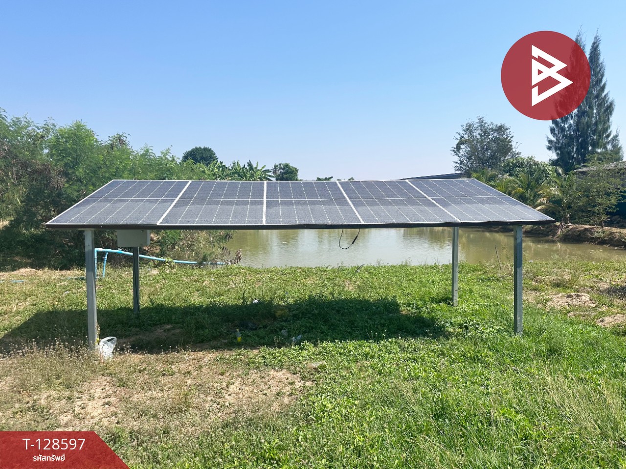 ขายที่ดินพร้อมสิ่งปลูกสร้าง เนื้อที่ 8 ไร่ 2 งาน 91 ตร.วา ท่ายาง เพชรบุรี 13