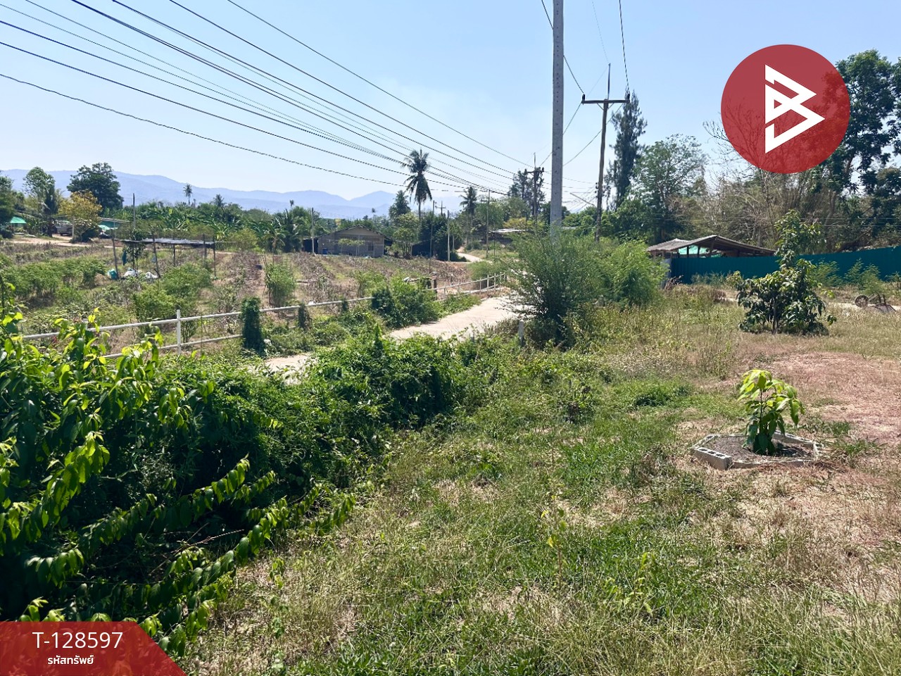 ขายที่ดินพร้อมสิ่งปลูกสร้าง เนื้อที่ 8 ไร่ 2 งาน 91 ตร.วา ท่ายาง เพชรบุรี 9