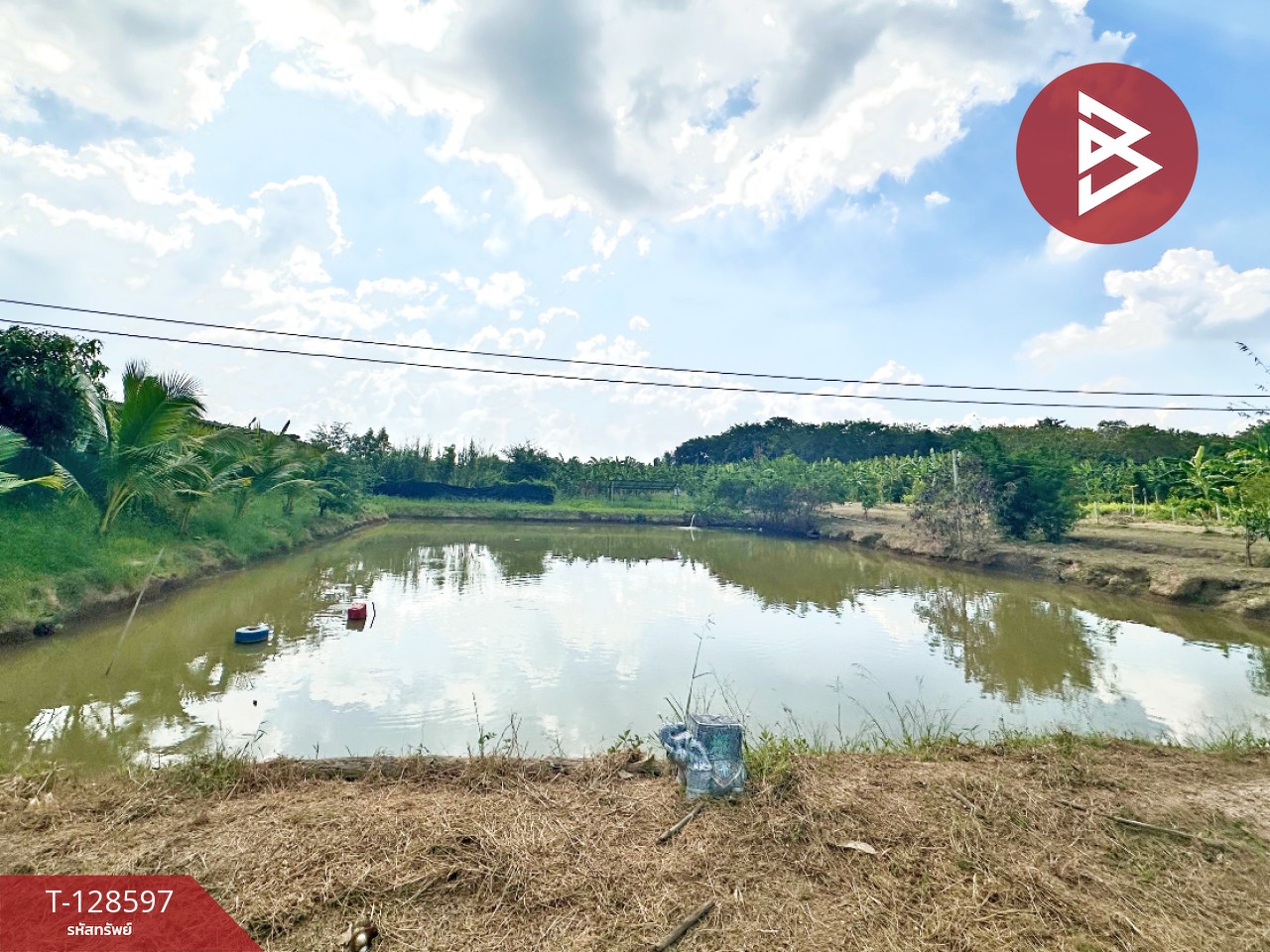 ขายที่ดินพร้อมสิ่งปลูกสร้าง เนื้อที่ 8 ไร่ 2 งาน 91 ตร.วา ท่ายาง เพชรบุรี 10