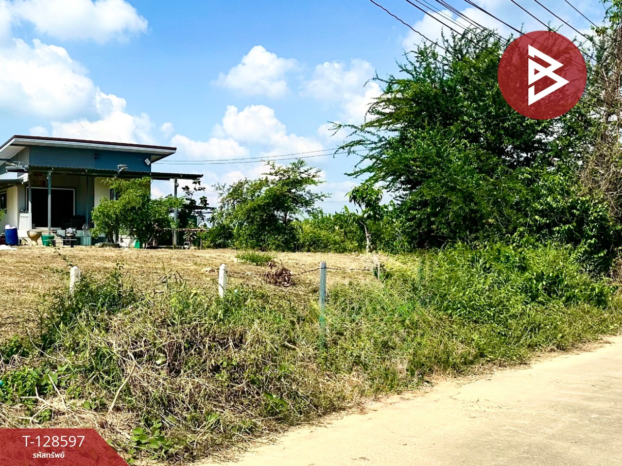 ขายที่ดินพร้อมสิ่งปลูกสร้าง เนื้อที่ 8 ไร่ 2 งาน 91 ตร.วา ท่ายาง เพชรบุรี 8