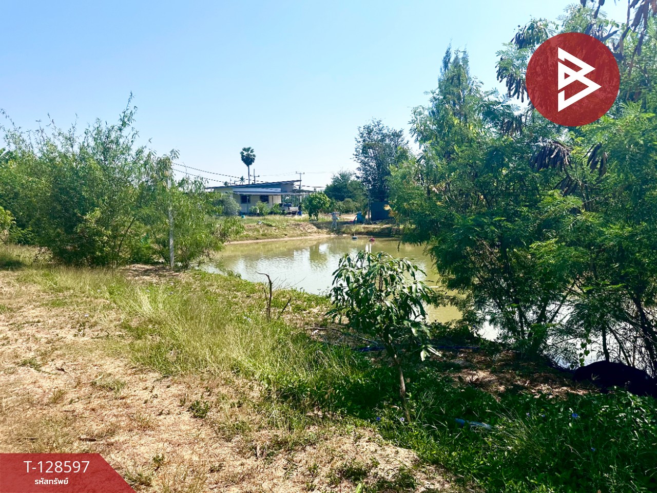 ขายที่ดินพร้อมสิ่งปลูกสร้าง เนื้อที่ 8 ไร่ 2 งาน 91 ตร.วา ท่ายาง เพชรบุรี 12