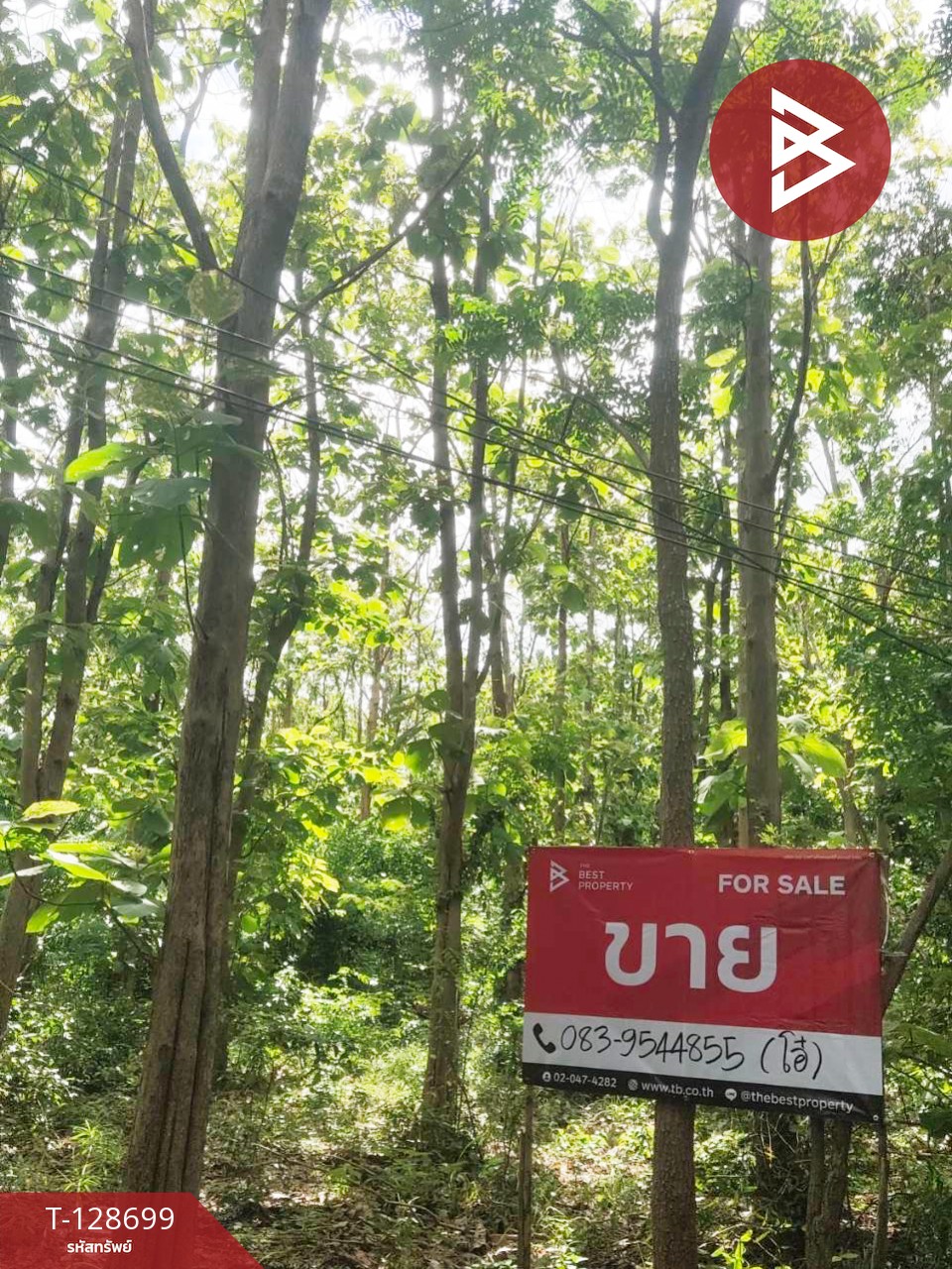 ขายที่ดิน พร้อมต้นสัก เนื้อที่ 200 ตารางวา อ.ตาคลี นครสวรรค์ 5