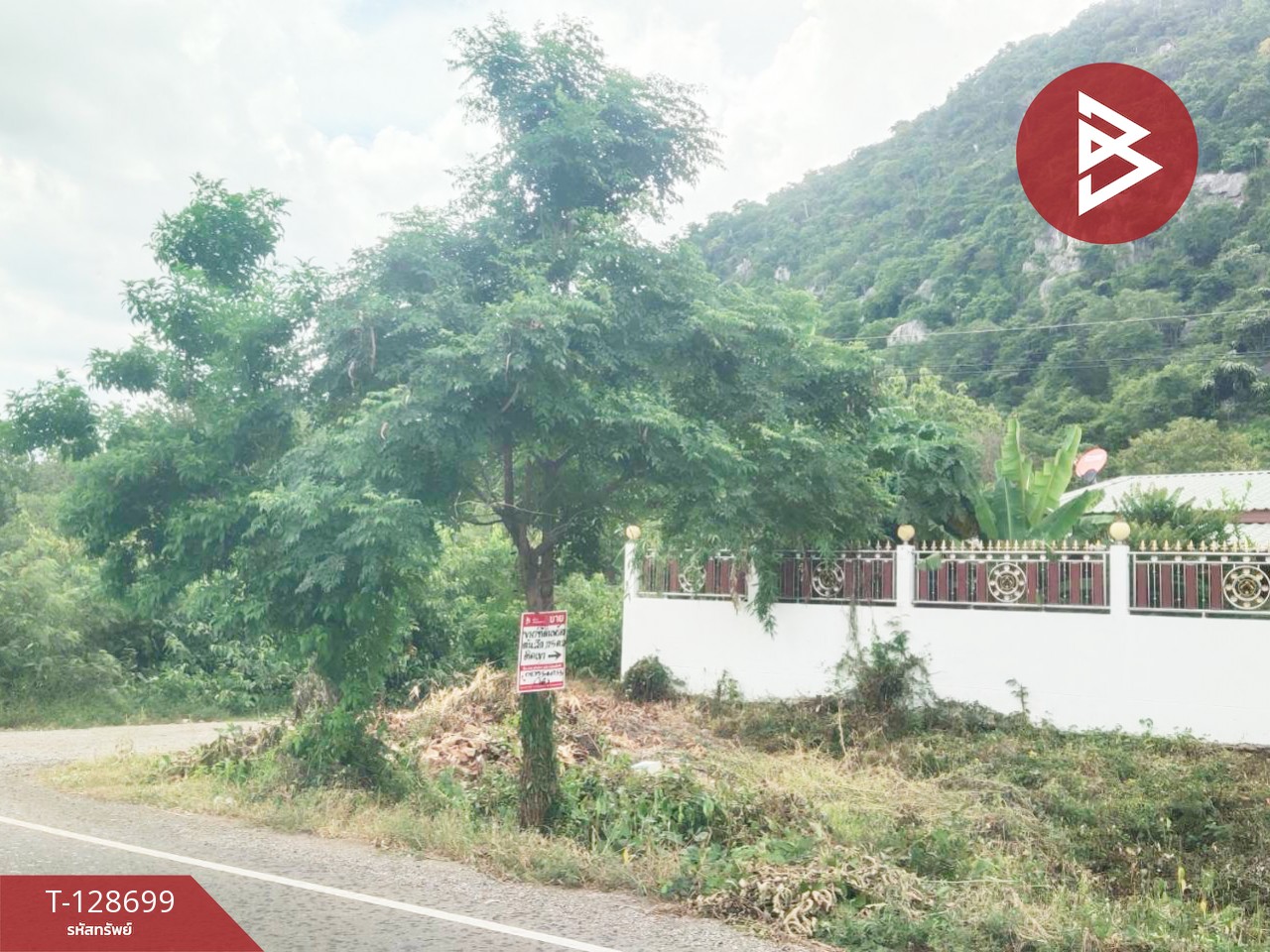 ขายที่ดิน พร้อมต้นสัก เนื้อที่ 200 ตารางวา อ.ตาคลี นครสวรรค์ 6