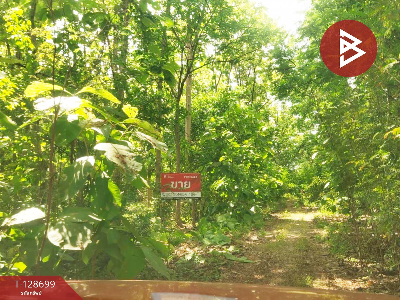 ขายที่ดิน พร้อมต้นสัก เนื้อที่ 200 ตารางวา อ.ตาคลี นครสวรรค์ 1