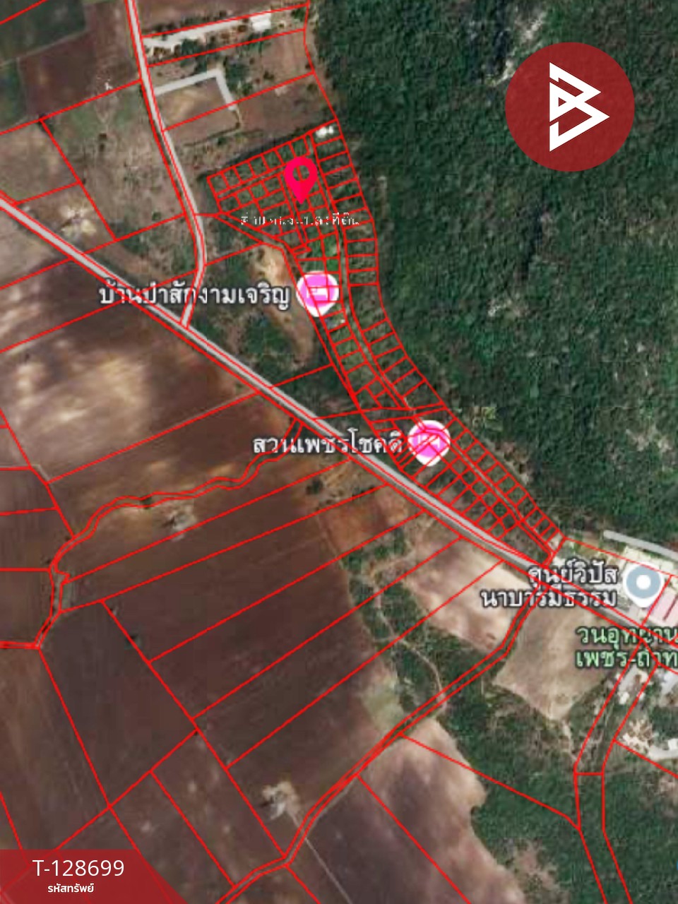 ขายที่ดิน พร้อมต้นสัก เนื้อที่ 200 ตารางวา อ.ตาคลี นครสวรรค์ 2