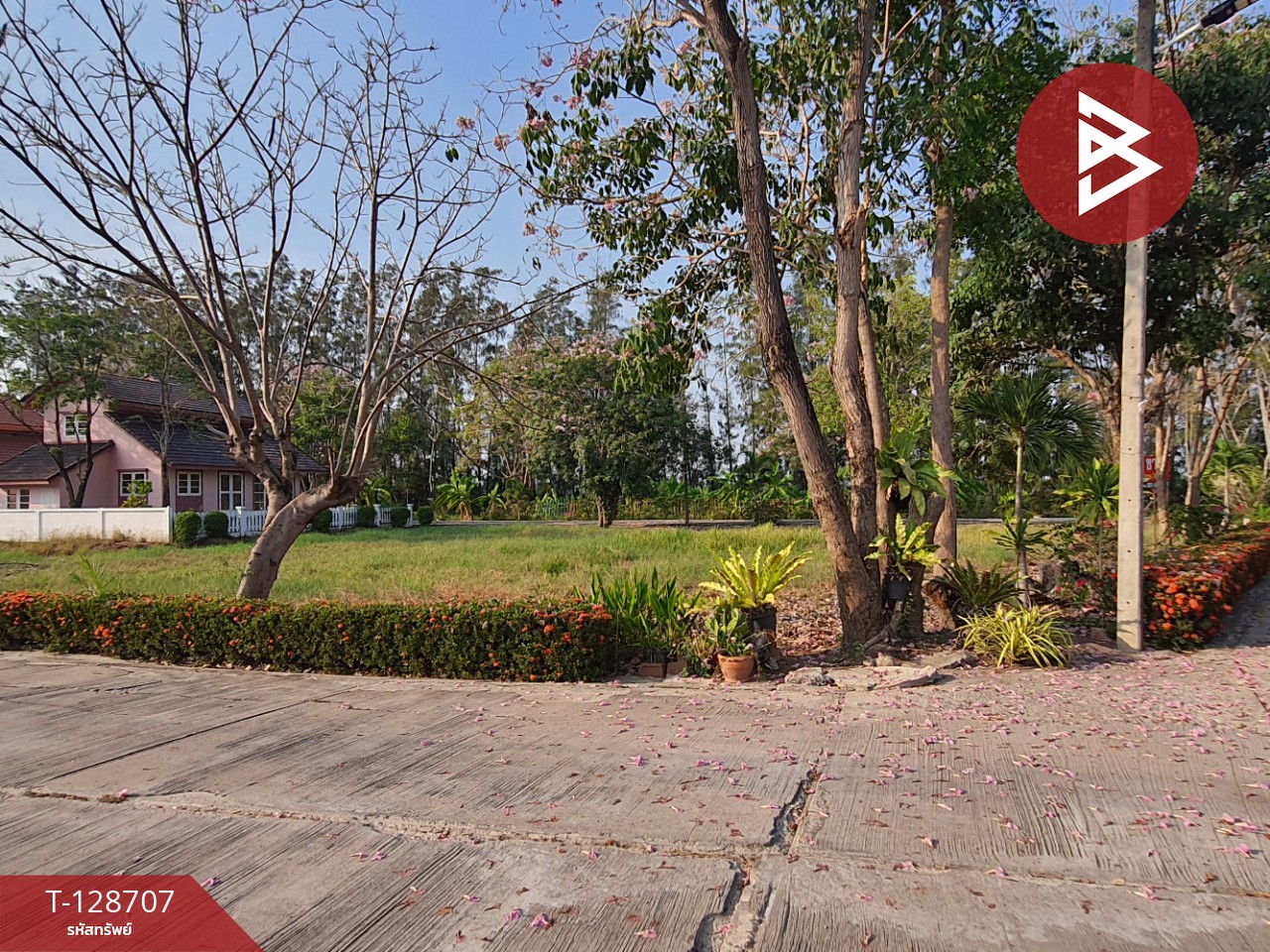 ขายที่ดิน เนื้อที่ 3 งาน 76.2 ตร.วา แปลงยาว ฉะเชิงเทรา 6