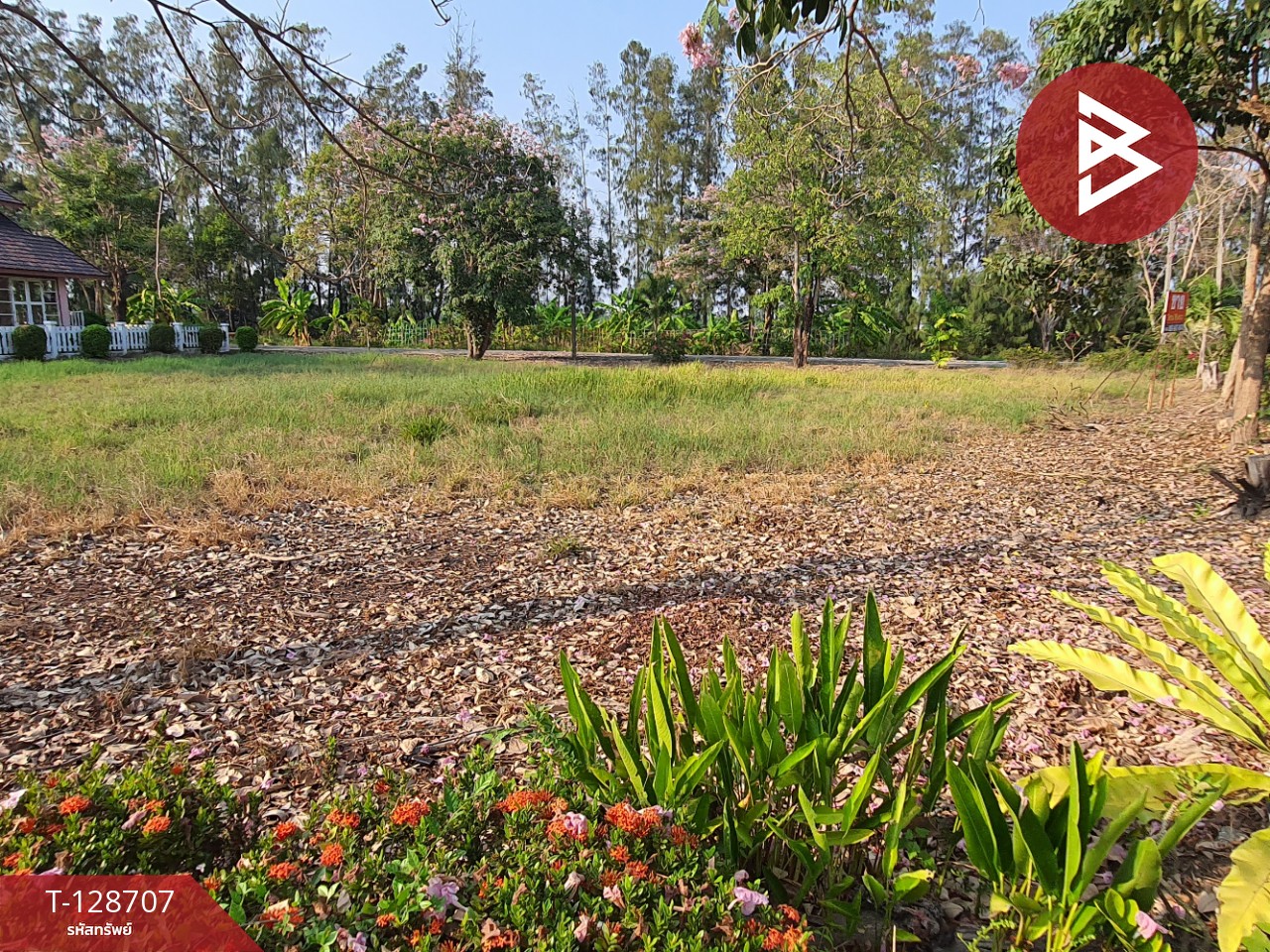 ขายที่ดิน เนื้อที่ 3 งาน 76.2 ตร.วา แปลงยาว ฉะเชิงเทรา 5