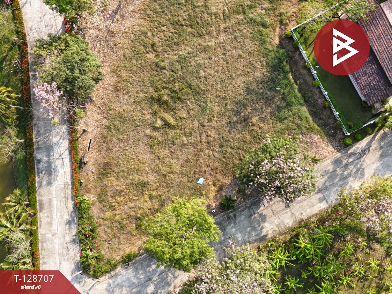 ขายที่ดิน เนื้อที่ 3 งาน 76.2 ตร.วา แปลงยาว ฉะเชิงเทรา 2