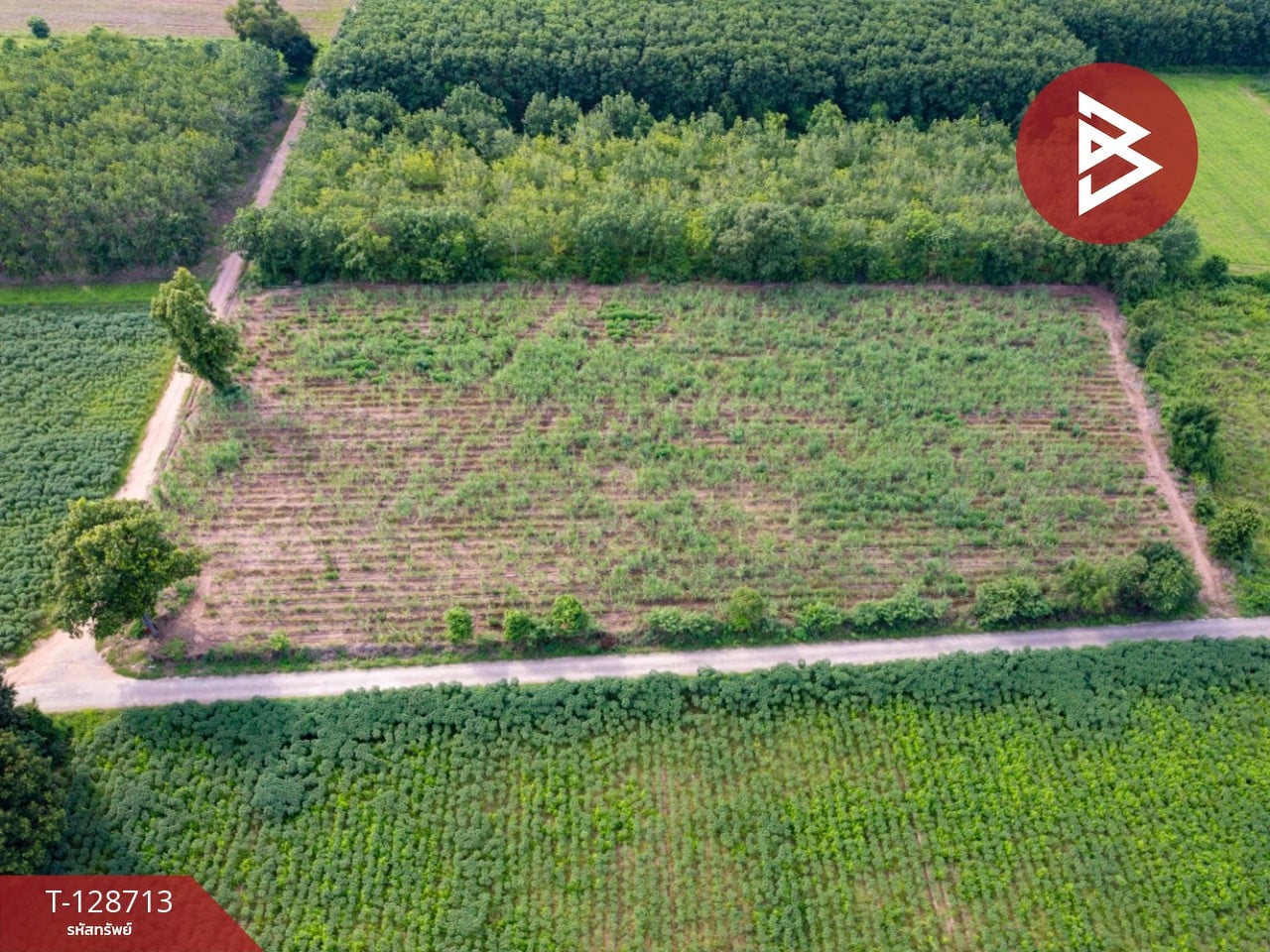 ขายที่ดิน เนื้อที่ 1 ไร่ นิคมสงเคราะห์ อุดรธานี 5