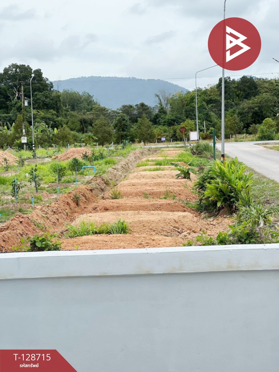 ขายบ้านเดี่ยวชั้นเดียว เนื้อที่ 50 ตร.วา บ้านแลง ระยอง 12