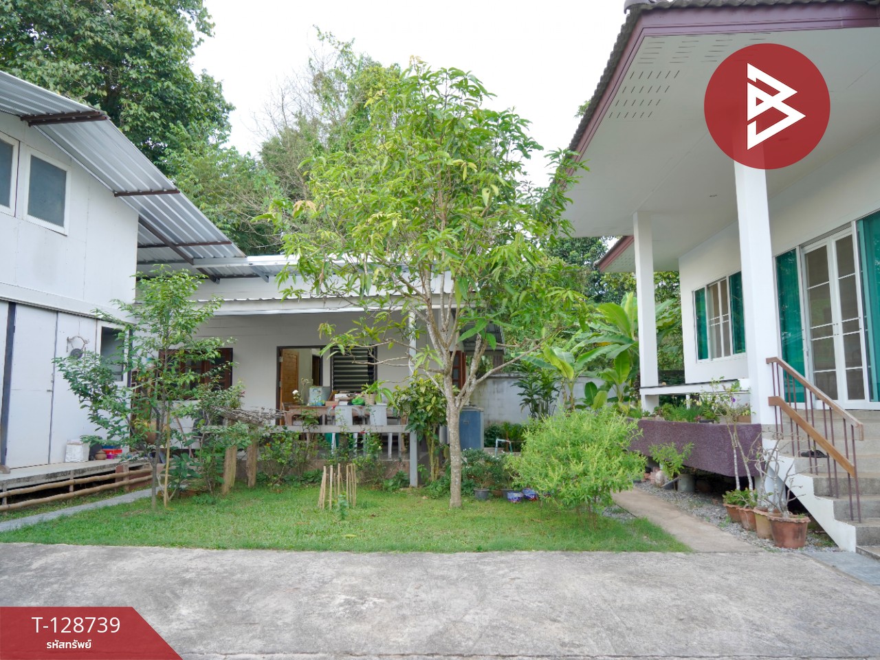 ขายด่วนบ้านเดี่ยวสุดชิล 2 หลัง 201 ตรว. หมู่บ้านปางค่า ไชยสถาน จ.น่าน 4