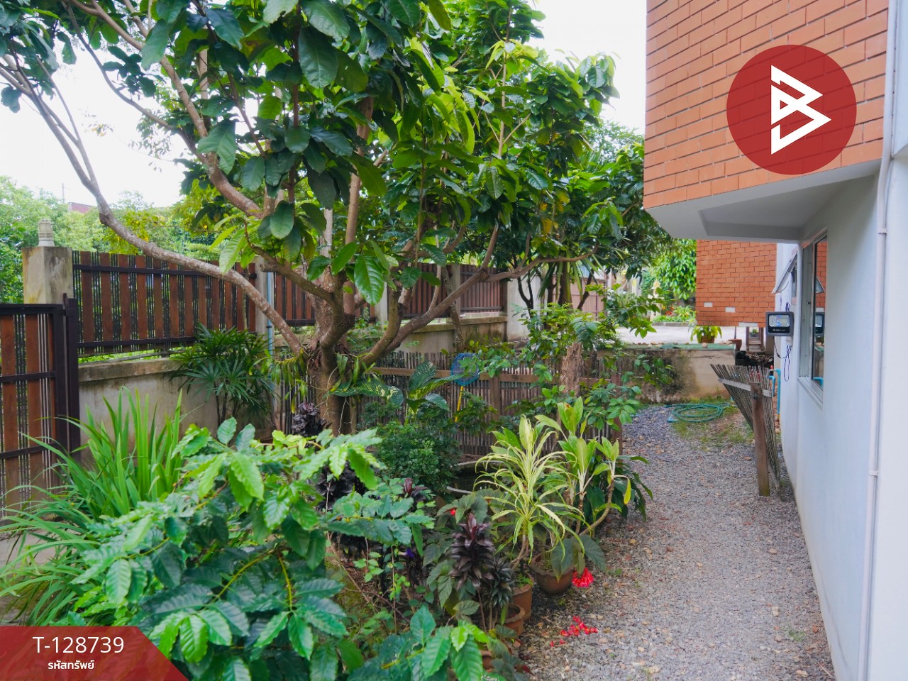 ขายด่วนบ้านเดี่ยวสุดชิล 2 หลัง 201 ตรว. หมู่บ้านปางค่า ไชยสถาน จ.น่าน 6