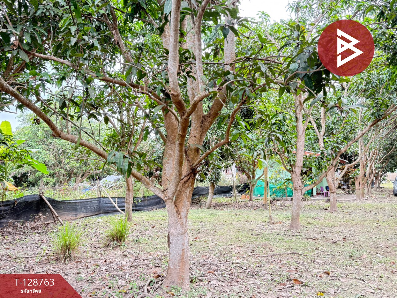 ขายที่ดินสวนผสม เนื้อที่ 3 ไร่ 2 งาน 15 ตารางวา ดอยหล่อ เชียงใหม่ 10