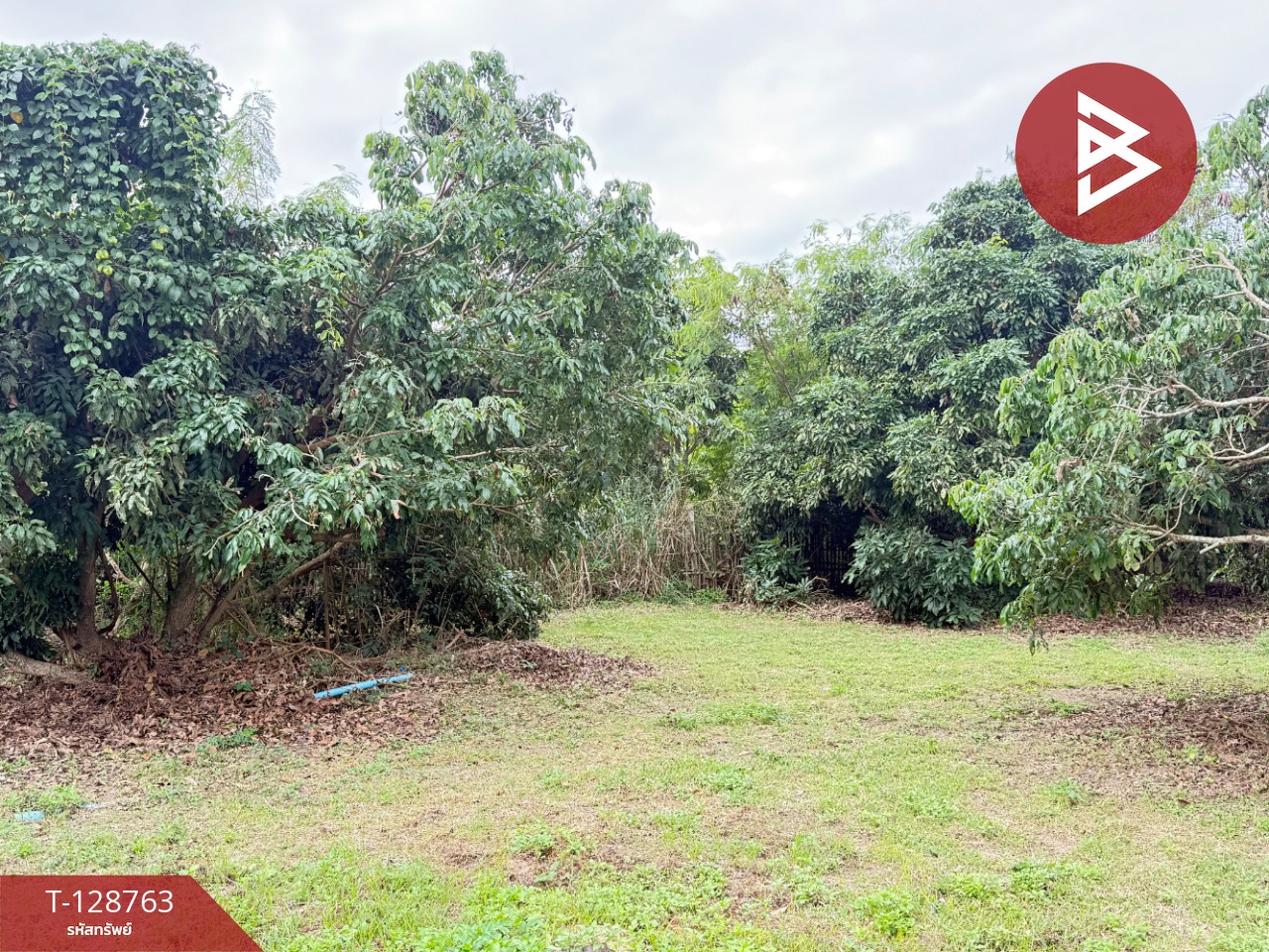 ขายที่ดินสวนผสม เนื้อที่ 3 ไร่ 2 งาน 15 ตารางวา ดอยหล่อ เชียงใหม่ 6