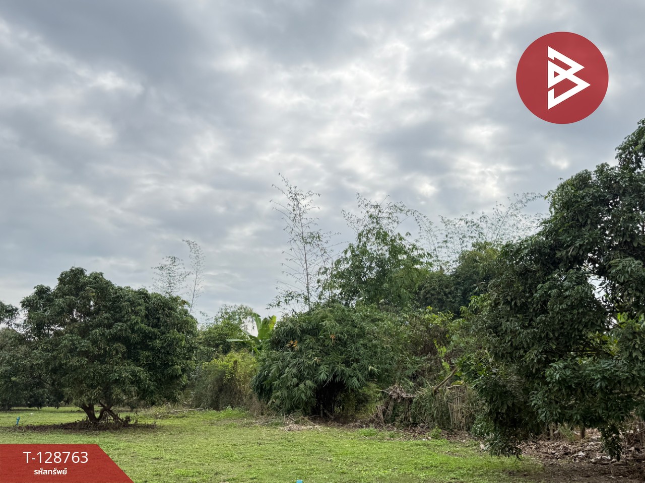 ขายที่ดินสวนผสม เนื้อที่ 3 ไร่ 2 งาน 15 ตารางวา ดอยหล่อ เชียงใหม่ 4