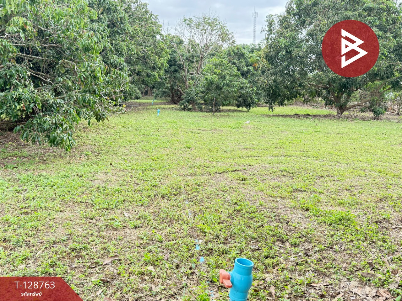 ขายที่ดินสวนผสม เนื้อที่ 3 ไร่ 2 งาน 15 ตารางวา ดอยหล่อ เชียงใหม่ 12