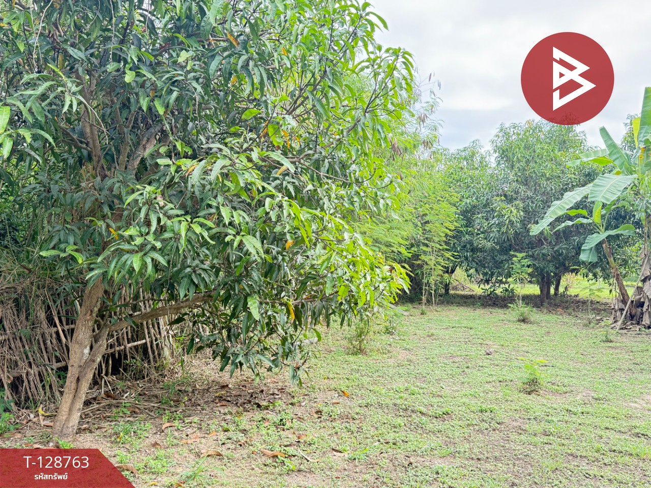 ขายที่ดินสวนผสม เนื้อที่ 3 ไร่ 2 งาน 15 ตารางวา ดอยหล่อ เชียงใหม่ 9