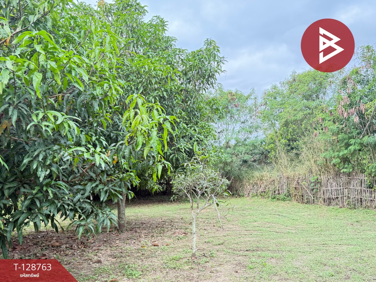 ขายที่ดินสวนผสม เนื้อที่ 3 ไร่ 2 งาน 15 ตารางวา ดอยหล่อ เชียงใหม่ 7