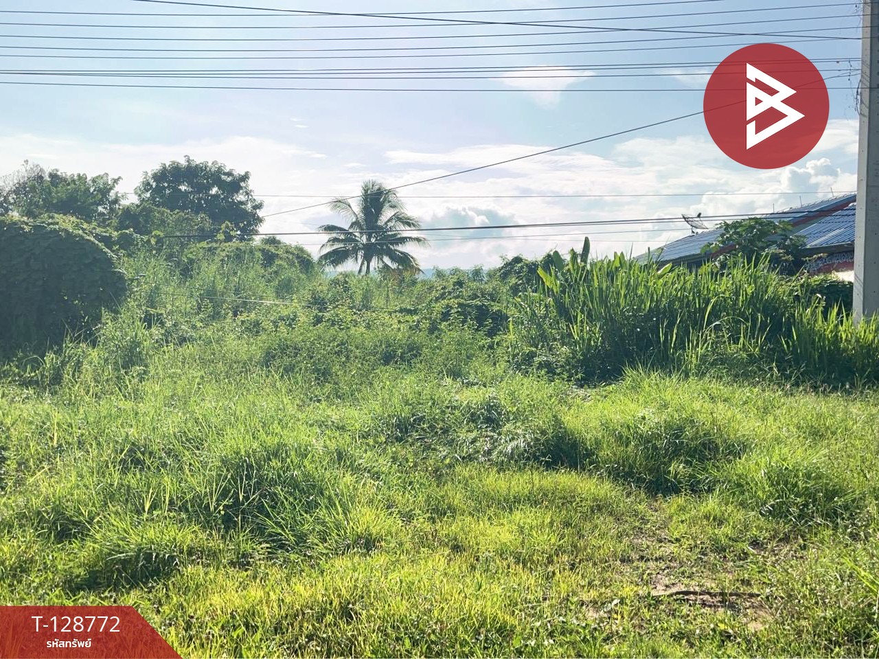 ขายที่ดิน เนื้อที่ 3 งาน วังทอง พิษณุโลก 4