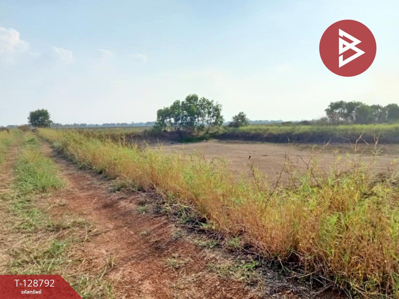 ขายที่ดินติดคลอง เนื้อที่ 15 ไร่ 1 งาน 71 ตร.วา ปากพลี นครนายก 4