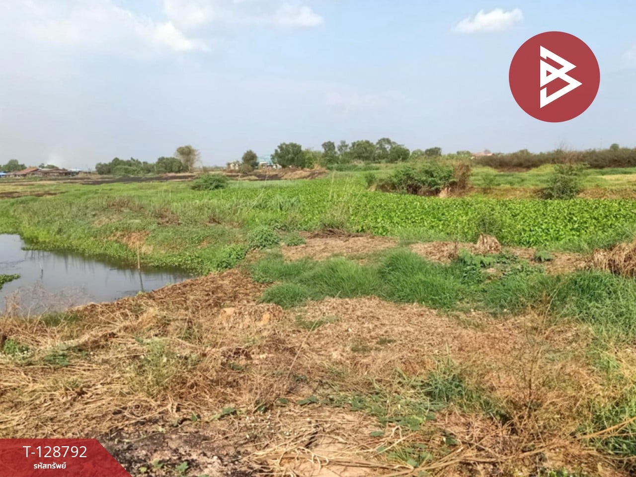 ขายที่ดินติดคลอง เนื้อที่ 15 ไร่ 1 งาน 71 ตร.วา ปากพลี นครนายก 1