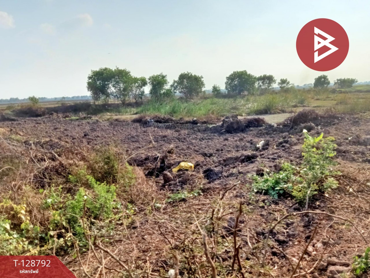 ขายที่ดินติดคลอง เนื้อที่ 15 ไร่ 1 งาน 71 ตร.วา ปากพลี นครนายก 3