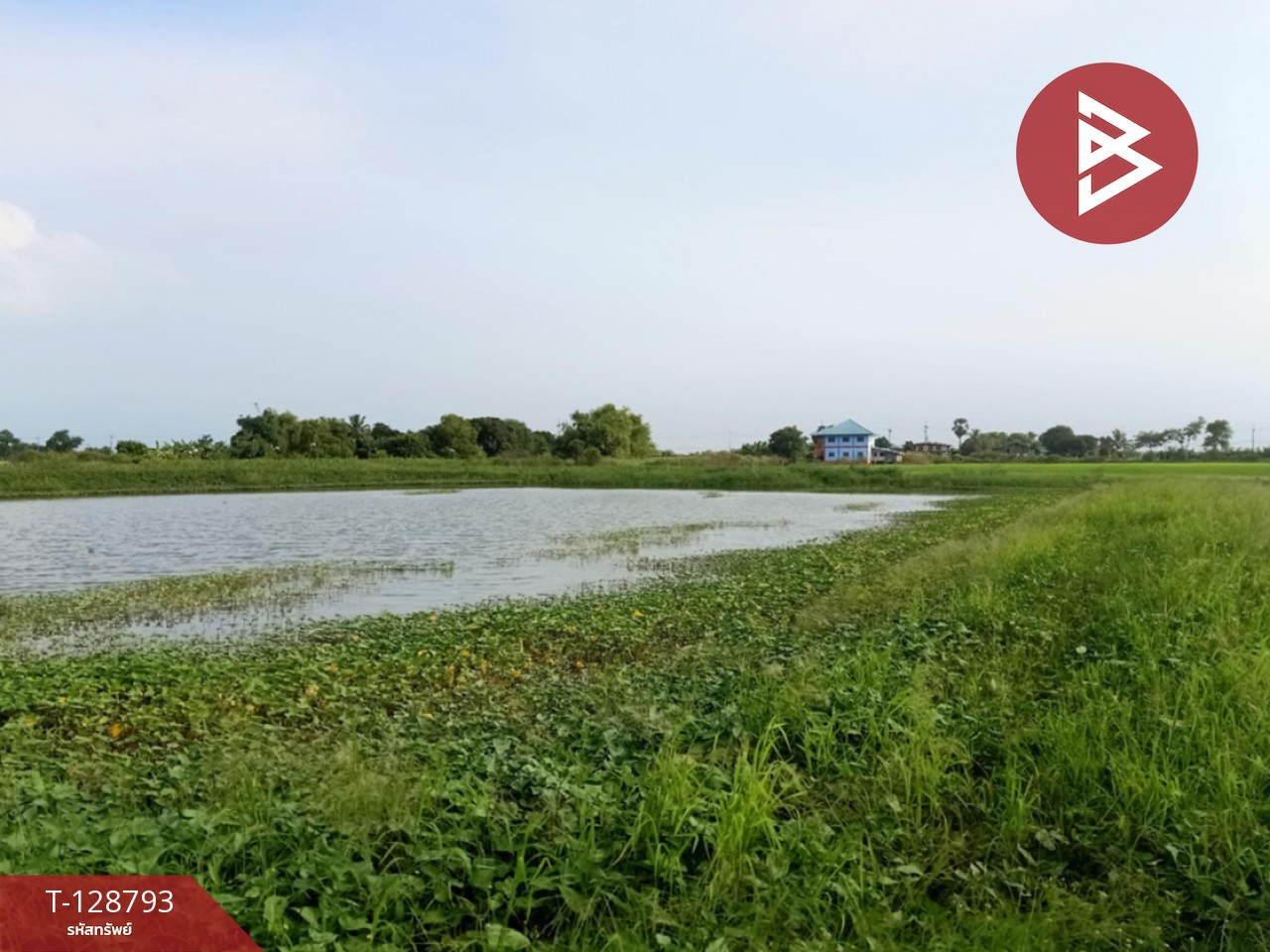 ขายที่ดินติดคลอง เนื้อที่ 7 ไร่ 3 งาน 59.1 ตร.วา ปากพลี นครนายก 4