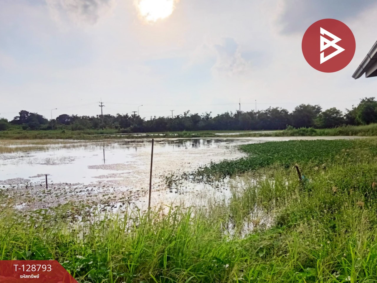 ขายที่ดินติดคลอง เนื้อที่ 7 ไร่ 3 งาน 59.1 ตร.วา ปากพลี นครนายก 3