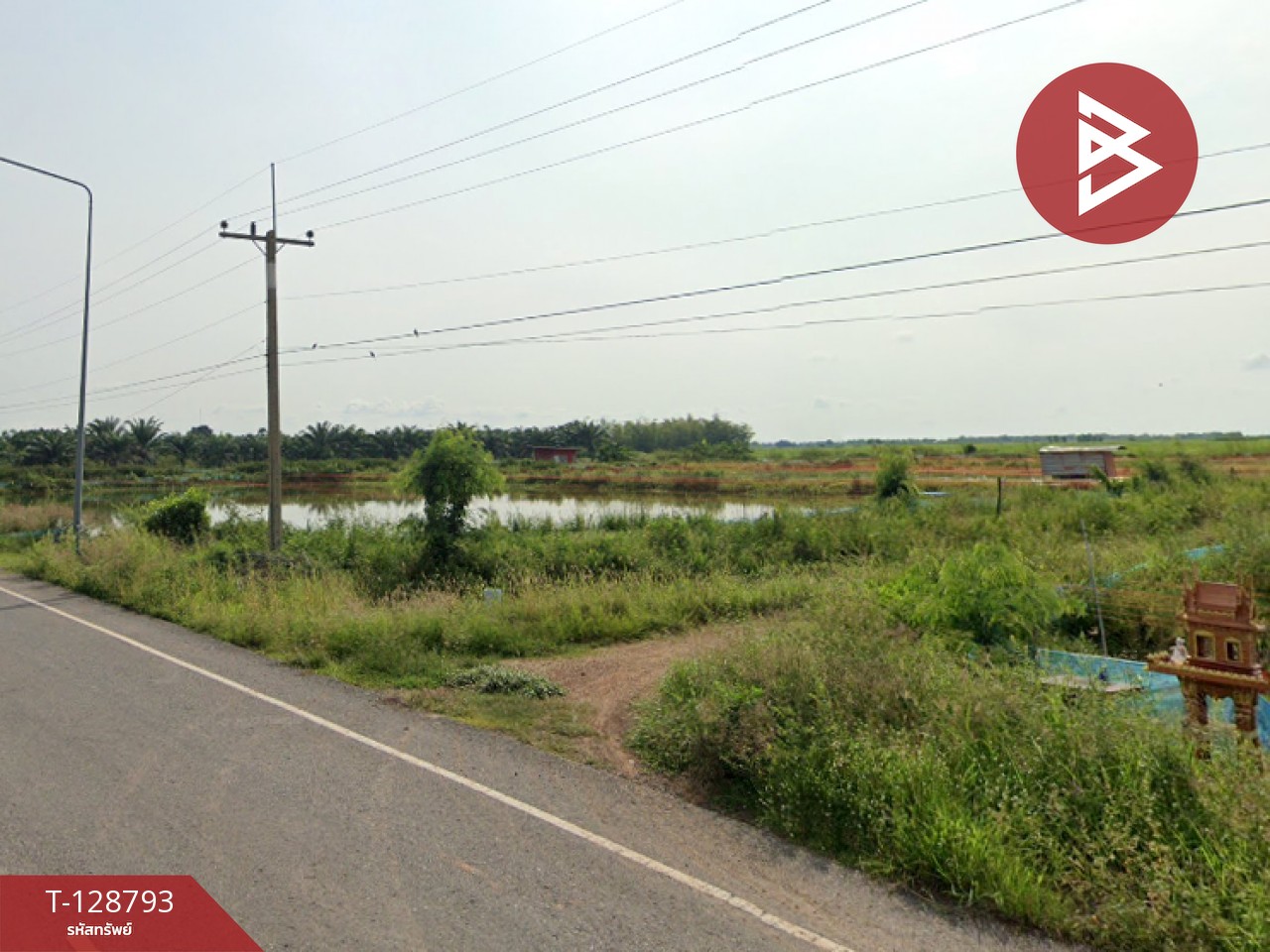 ขายที่ดินติดคลอง เนื้อที่ 7 ไร่ 3 งาน 59.1 ตร.วา ปากพลี นครนายก 8