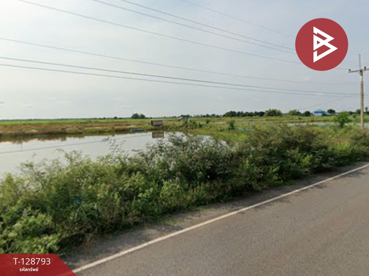 ขายที่ดินติดคลอง เนื้อที่ 7 ไร่ 3 งาน 59.1 ตร.วา ปากพลี นครนายก 9