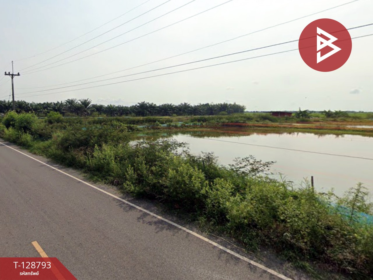 ขายที่ดินติดคลอง เนื้อที่ 7 ไร่ 3 งาน 59.1 ตร.วา ปากพลี นครนายก 10