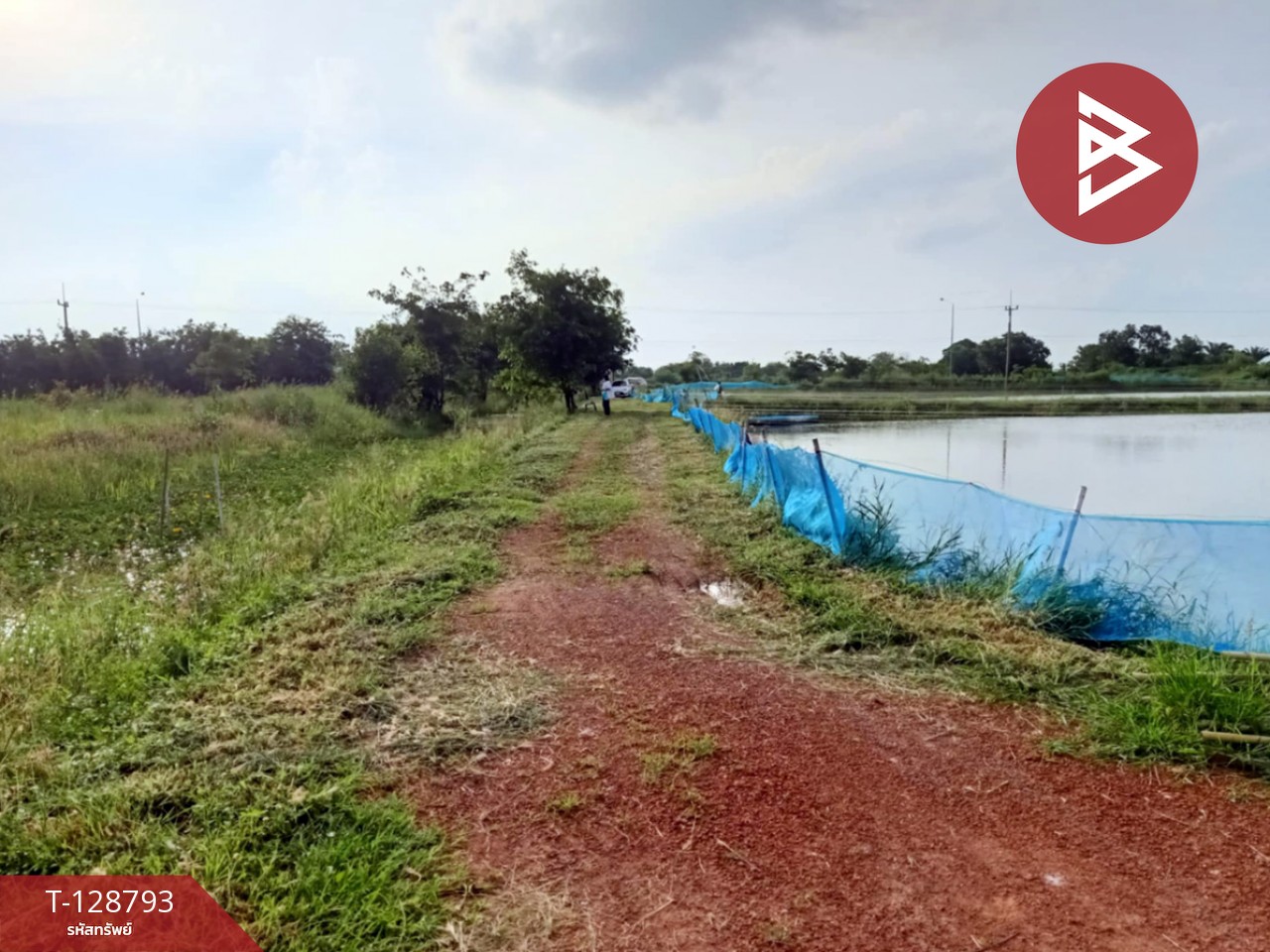 ขายที่ดินติดคลอง เนื้อที่ 7 ไร่ 3 งาน 59.1 ตร.วา ปากพลี นครนายก 7