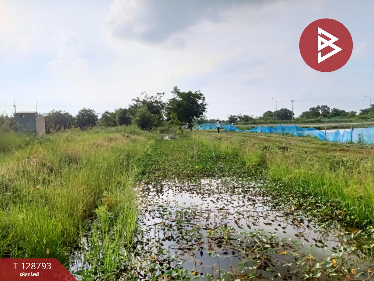 ขายที่ดินติดคลอง เนื้อที่ 7 ไร่ 3 งาน 59.1 ตร.วา ปากพลี นครนายก 6