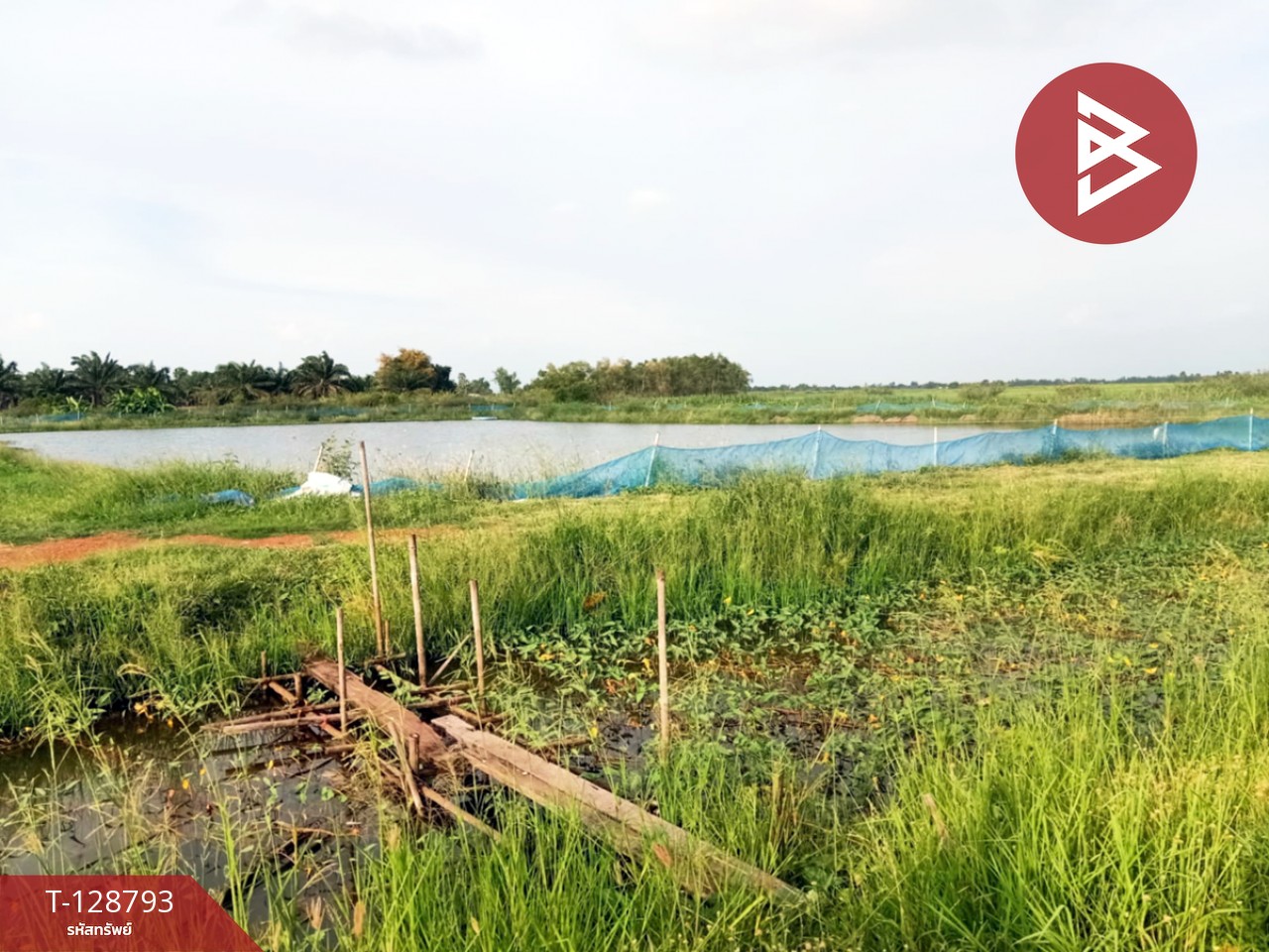 ขายที่ดินติดคลอง เนื้อที่ 7 ไร่ 3 งาน 59.1 ตร.วา ปากพลี นครนายก 1