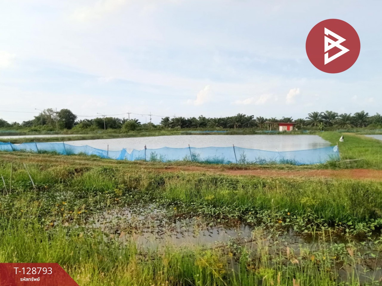 ขายที่ดินติดคลอง เนื้อที่ 7 ไร่ 3 งาน 59.1 ตร.วา ปากพลี นครนายก 2